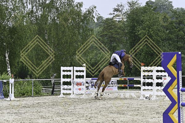 Fränkische Meisterschaft - Prüfung 7, Springpr. Kl. L - Image 19