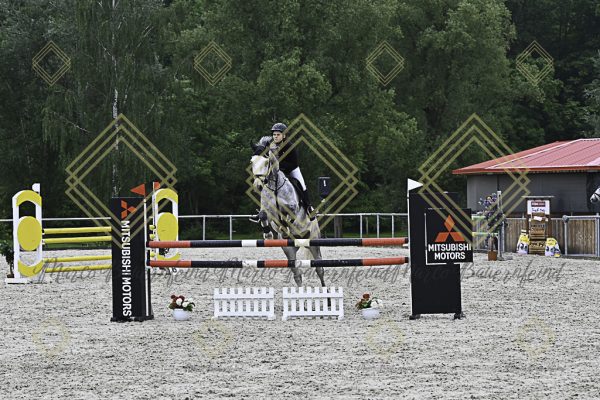 Fränkische Meisterschaft - Prüfung 19, Springpr. Kl. L - Image 12