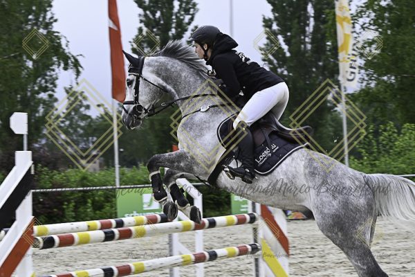 Fränkische Meisterschaft - Prüfung 19, Springpr. Kl. L - Image 13