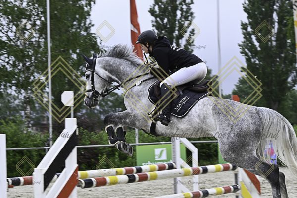 Fränkische Meisterschaft - Prüfung 19, Springpr. Kl. L - Image 14