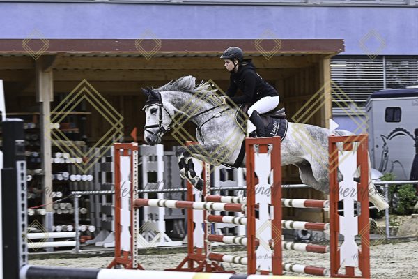 Fränkische Meisterschaft - Prüfung 19, Springpr. Kl. L - Image 15