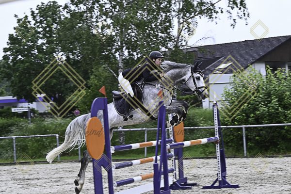 Fränkische Meisterschaft - Prüfung 19, Springpr. Kl. L - Image 17
