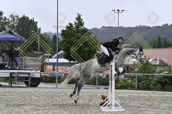 Fränkische Meisterschaft - Prüfung 10, Springpr. Kl. L - Image 14