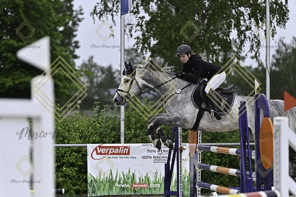 Fränkische Meisterschaft - Prüfung 10, Springpr. Kl. L - Image 16