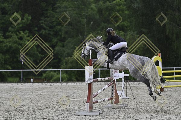 Fränkische Meisterschaft - Prüfung 10, Springpr. Kl. L - Image 19