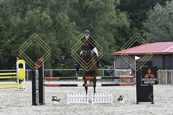 Fränkische Meisterschaft - Prüfung 19, Springpr. Kl. L - Image 18