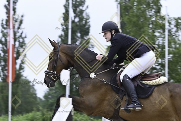 Fränkische Meisterschaft - Prüfung 19, Springpr. Kl. L - Image 19