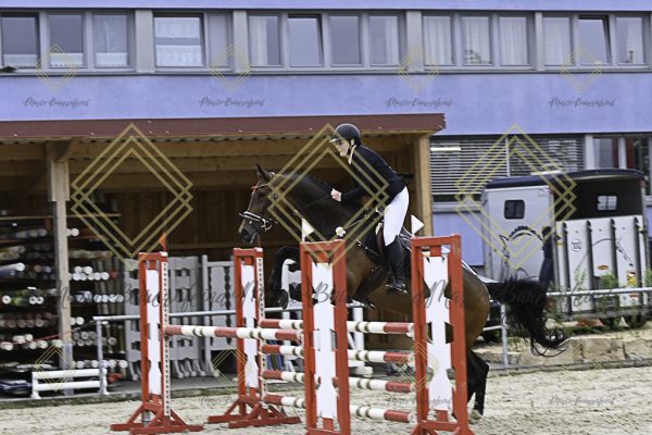 Fränkische Meisterschaft - Prüfung 19, Springpr. Kl. L - Image 20