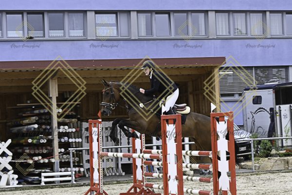 Fränkische Meisterschaft - Prüfung 19, Springpr. Kl. L - Image 21