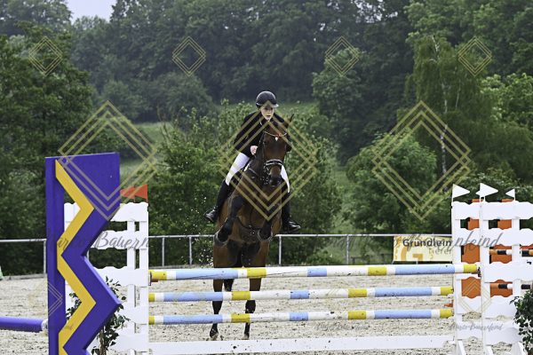 Fränkische Meisterschaft - Prüfung 19, Springpr. Kl. L - Image 22