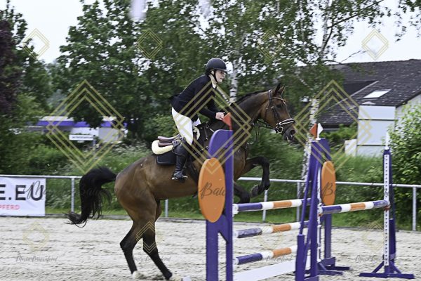 Fränkische Meisterschaft - Prüfung 19, Springpr. Kl. L - Image 23
