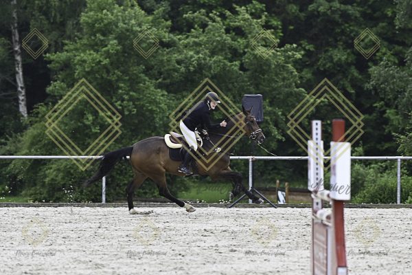 Fränkische Meisterschaft - Prüfung 19, Springpr. Kl. L - Image 24