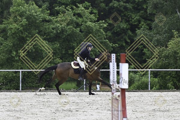 Fränkische Meisterschaft - Prüfung 19, Springpr. Kl. L - Image 25