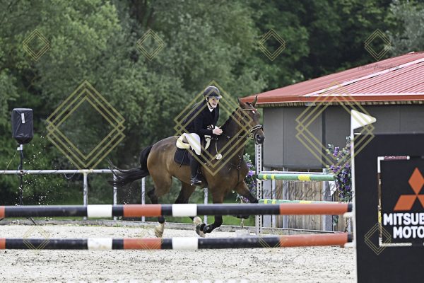 Fränkische Meisterschaft - Prüfung 19, Springpr. Kl. L - Image 26