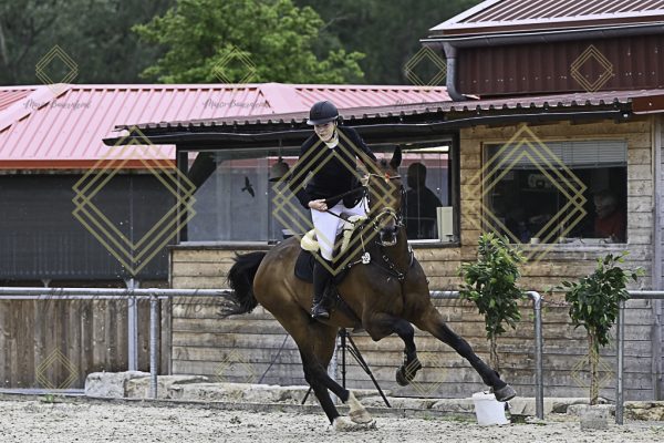 Fränkische Meisterschaft - Prüfung 19, Springpr. Kl. L - Image 27