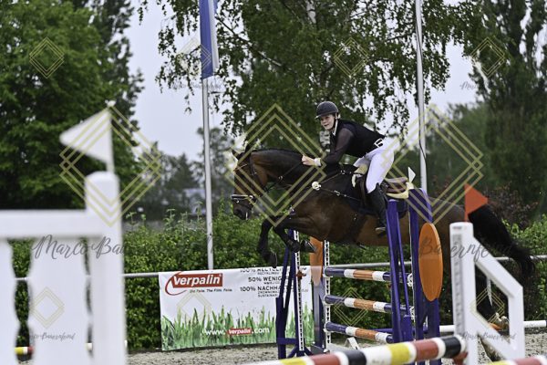 Fränkische Meisterschaft - Prüfung 10, Springpr. Kl. L - Image 21