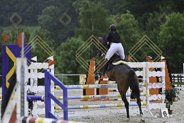 Fränkische Meisterschaft - Prüfung 10, Springpr. Kl. L - Image 22