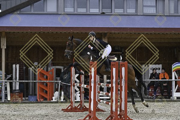Fränkische Meisterschaft - Prüfung 10, Springpr. Kl. L - Image 25