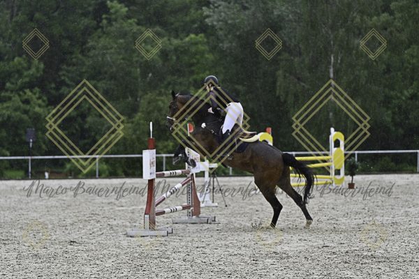 Fränkische Meisterschaft - Prüfung 10, Springpr. Kl. L - Image 26