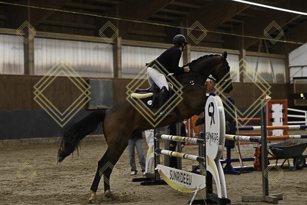 Fränkische Meisterschaft - Prüfung 11, Springpr. Kl. L - Image 33