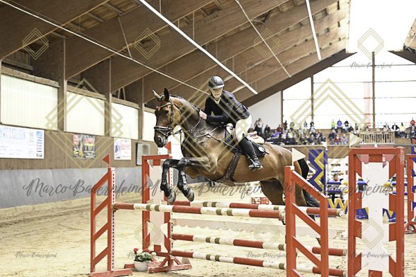 Fränkische Meisterschaft - Prüfung 12, Springpr. Kl. L - Image 27
