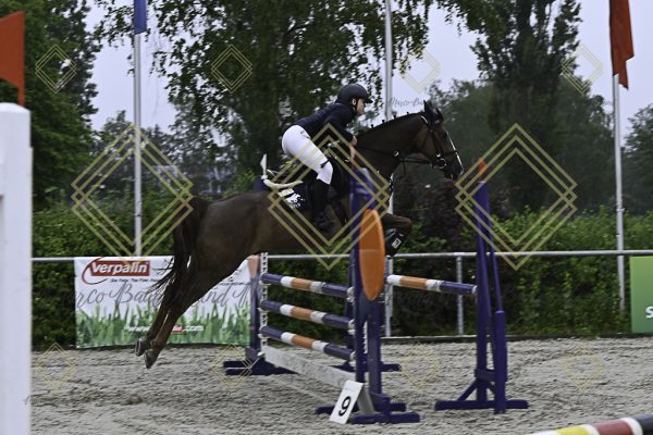 Fränkische Meisterschaft - Prüfung 13, Springpr. Kl. A** - Image 15