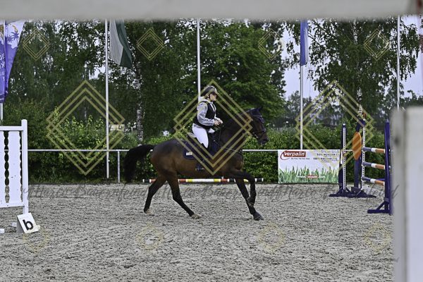 Fränkische Meisterschaft - Prüfung 4, Springpr. Kl. M* - Image 15