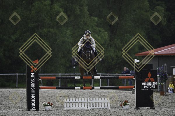 Fränkische Meisterschaft - Prüfung 4, Springpr. Kl. M* - Image 17