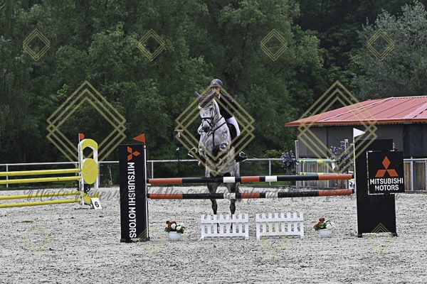 Fränkische Meisterschaft - Prüfung 19, Springpr. Kl. L - Image 28
