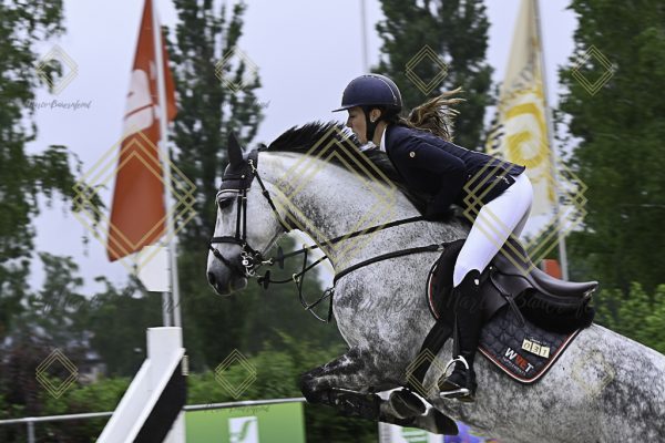 Fränkische Meisterschaft - Prüfung 19, Springpr. Kl. L - Image 29
