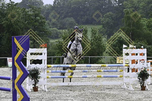 Fränkische Meisterschaft - Prüfung 19, Springpr. Kl. L - Image 33