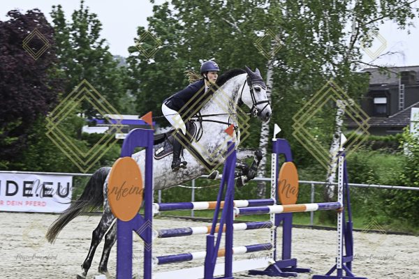 Fränkische Meisterschaft - Prüfung 19, Springpr. Kl. L - Image 34