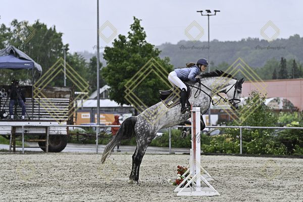 Fränkische Meisterschaft - Prüfung 10, Springpr. Kl. L - Image 27