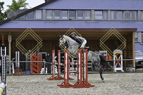 Fränkische Meisterschaft - Prüfung 10, Springpr. Kl. L - Image 32