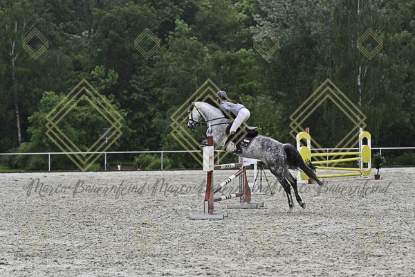 Fränkische Meisterschaft - Prüfung 10, Springpr. Kl. L - Image 33