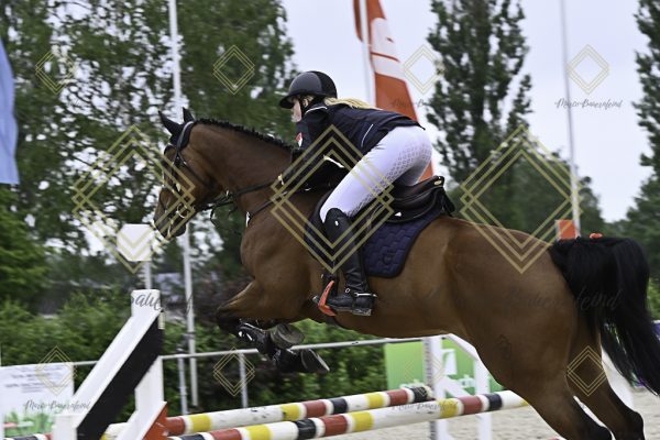 Fränkische Meisterschaft - Prüfung 19, Springpr. Kl. L - Image 36