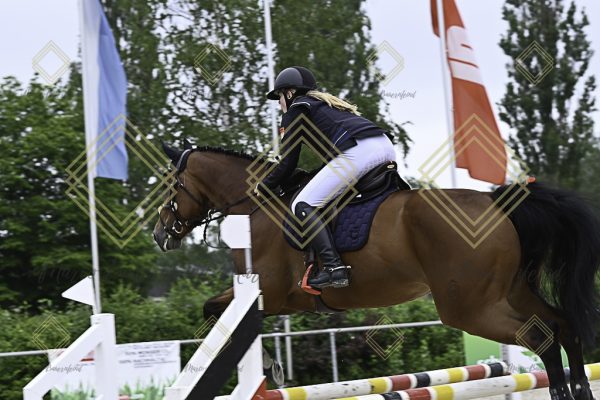Fränkische Meisterschaft - Prüfung 19, Springpr. Kl. L - Image 37