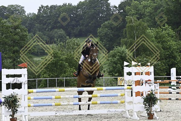 Fränkische Meisterschaft - Prüfung 19, Springpr. Kl. L - Image 39