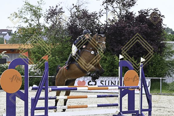 Fränkische Meisterschaft - Prüfung 19, Springpr. Kl. L - Image 41