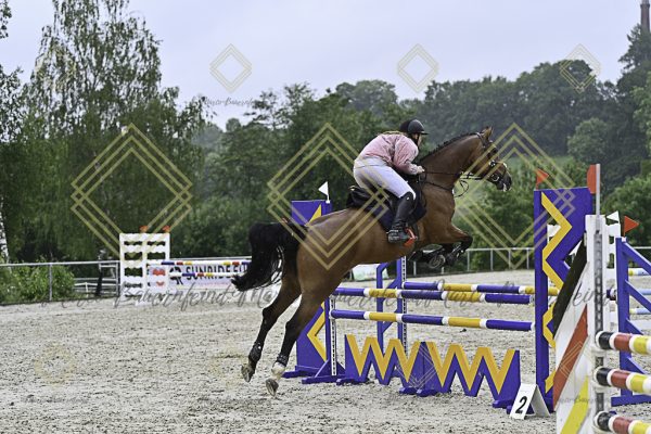 Fränkische Meisterschaft - Prüfung 10, Springpr. Kl. L - Image 36