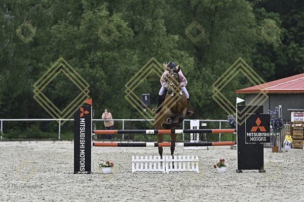 Fränkische Meisterschaft - Prüfung 10, Springpr. Kl. L - Image 37