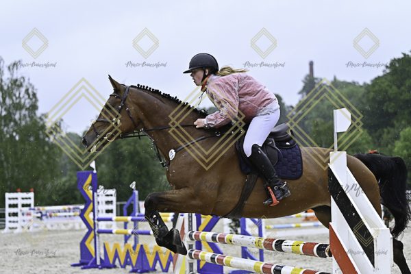 Fränkische Meisterschaft - Prüfung 10, Springpr. Kl. L - Image 41
