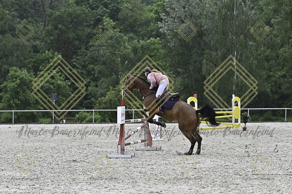 Fränkische Meisterschaft - Prüfung 10, Springpr. Kl. L - Image 43
