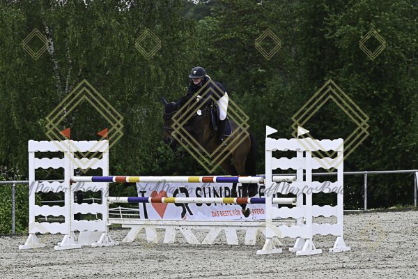 Fränkische Meisterschaft - Prüfung 18, Springpr. Kl. M* - Image 18