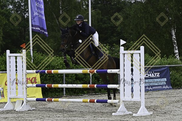 Fränkische Meisterschaft - Prüfung 18, Springpr. Kl. M* - Image 19