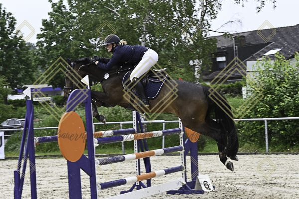 Fränkische Meisterschaft - Prüfung 18, Springpr. Kl. M* - Image 20