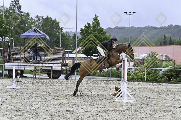 Fränkische Meisterschaft - Prüfung 10, Springpr. Kl. L - Image 44