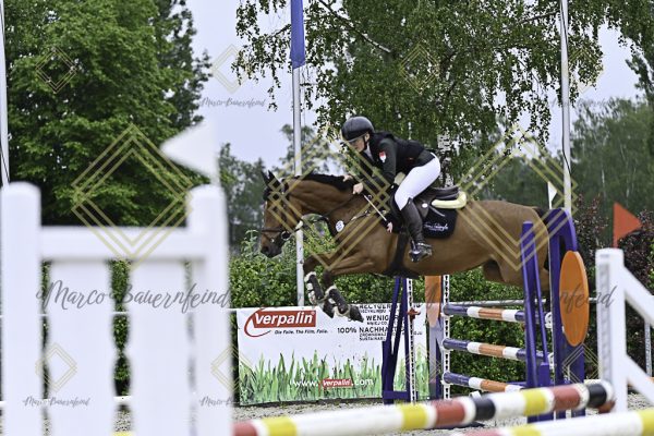 Fränkische Meisterschaft - Prüfung 10, Springpr. Kl. L - Image 46