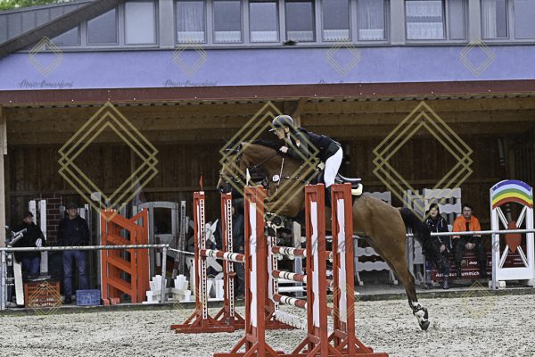 Fränkische Meisterschaft - Prüfung 10, Springpr. Kl. L - Image 48