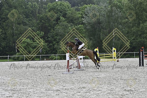Fränkische Meisterschaft - Prüfung 10, Springpr. Kl. L - Image 49